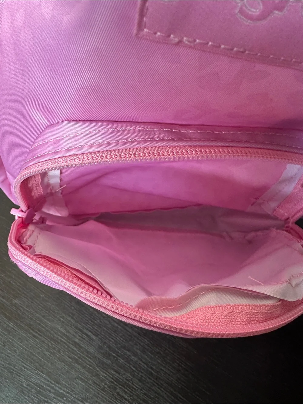 Jansport compact backpack
